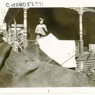 Print, Photographic