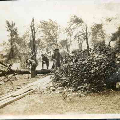 Photograph