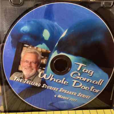 Tag Gornall: Whale Doctor