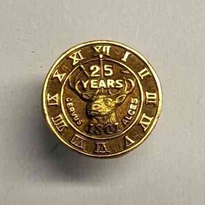 Pin