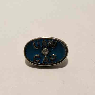 Pin, Lapel