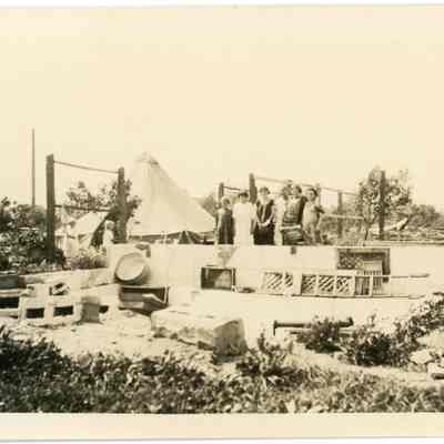 Photograph