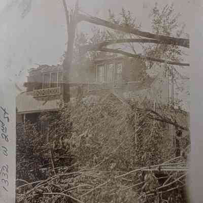 Photograph