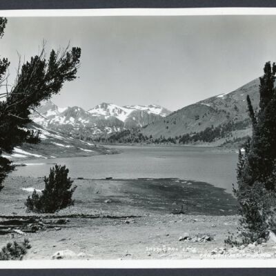 Print, Photographic