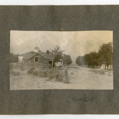 Print, Photographic