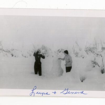 Print, Photographic