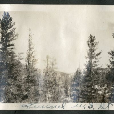 Print, Photographic