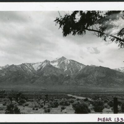 Print, Photographic