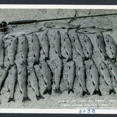Print, Photographic