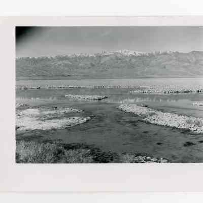 Print, Photographic