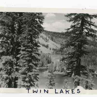 Print, Photographic