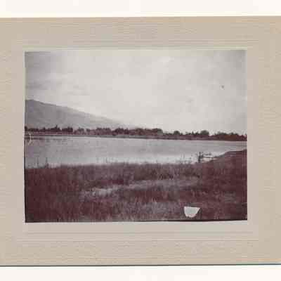 Print, Photographic