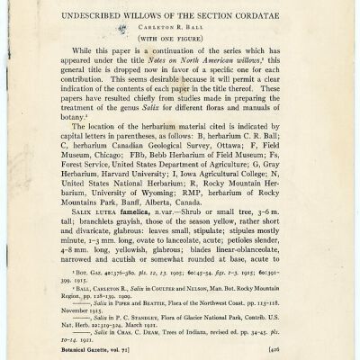 Undescribed Willows of the Section Cordatae