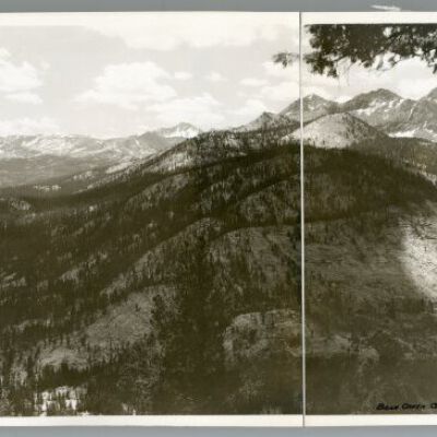 Print, Photographic