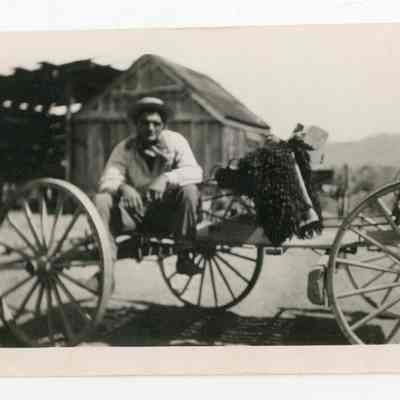 Print, Photographic