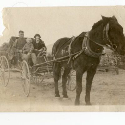 Print, Photographic