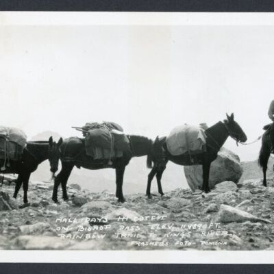 Print, Photographic