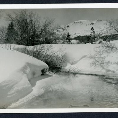 Print, Photographic