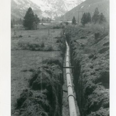 Print, Photographic