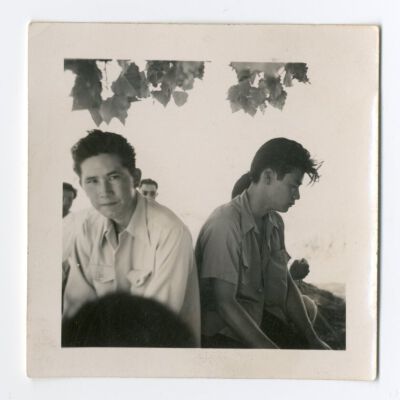 Print, Photographic