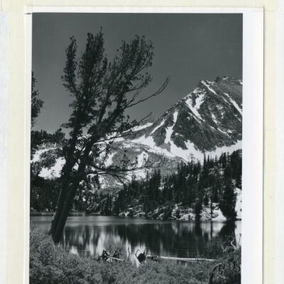 Print, Photographic
