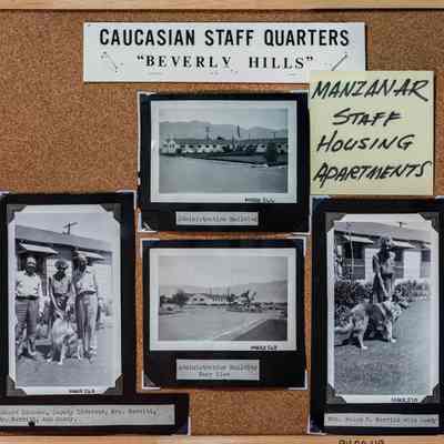 Panel, Display