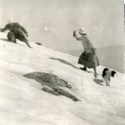 Print, Photographic