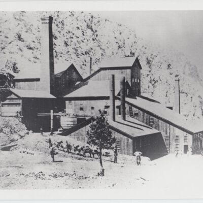 Print, Photographic