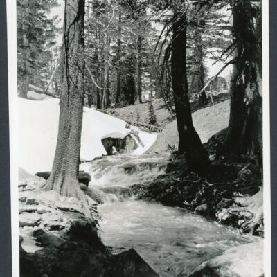 Print, Photographic