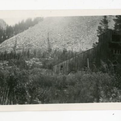 Print, Photographic
