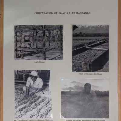 Panel, Display