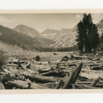 Print, Photographic