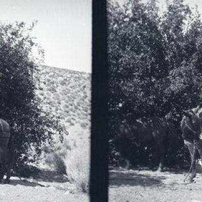 Negative