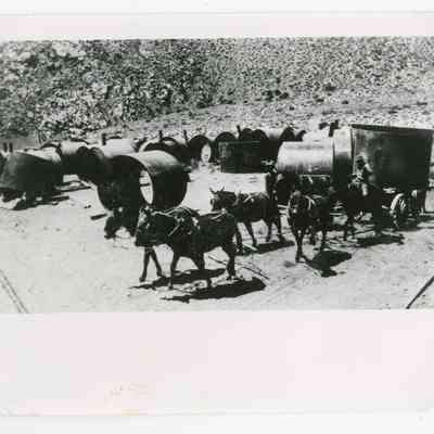 Print, Photographic