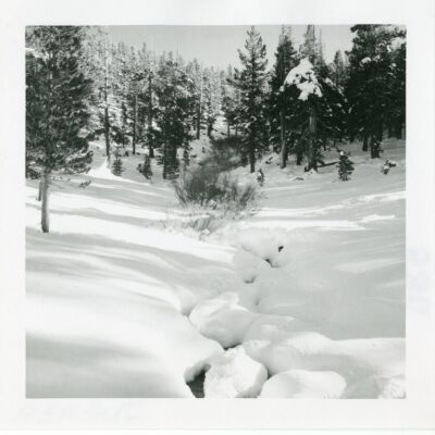 Print, Photographic