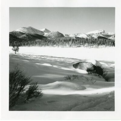 Print, Photographic