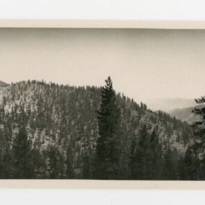 Print, Photographic