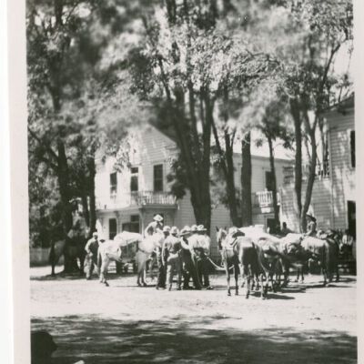 Print, Photographic