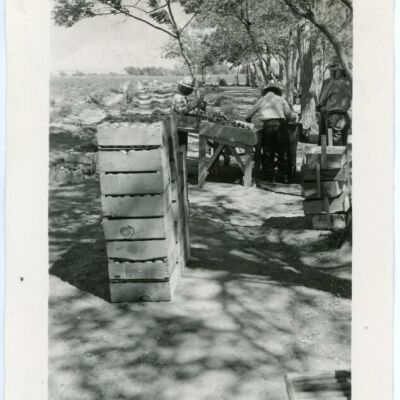 Print, Photographic