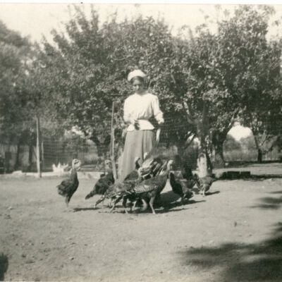 Postcard