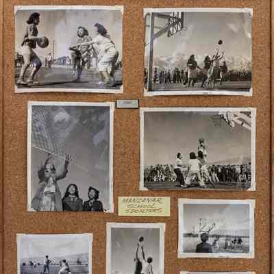 Panel, Display