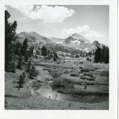 Print, Photographic