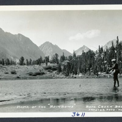 Print, Photographic