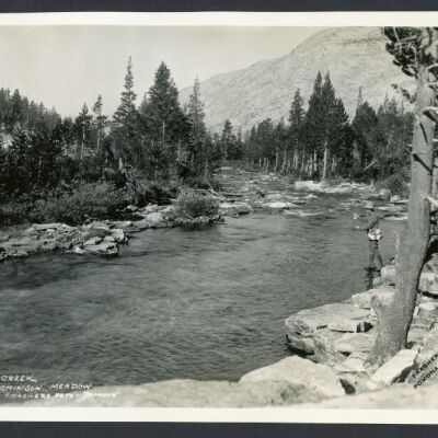 Print, Photographic