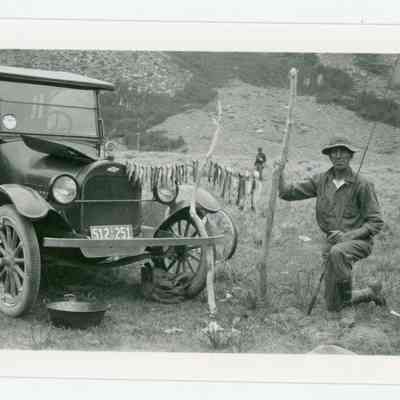 Print, Photographic