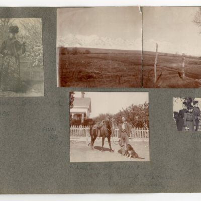 Print, Photographic
