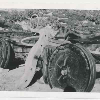 1981.51.4