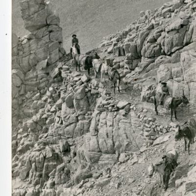 Mt. Whitney Trail