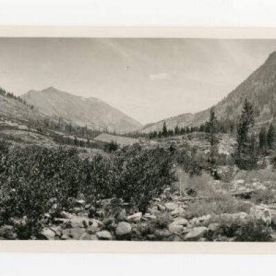 Print, Photographic