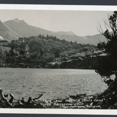 Print, Photographic